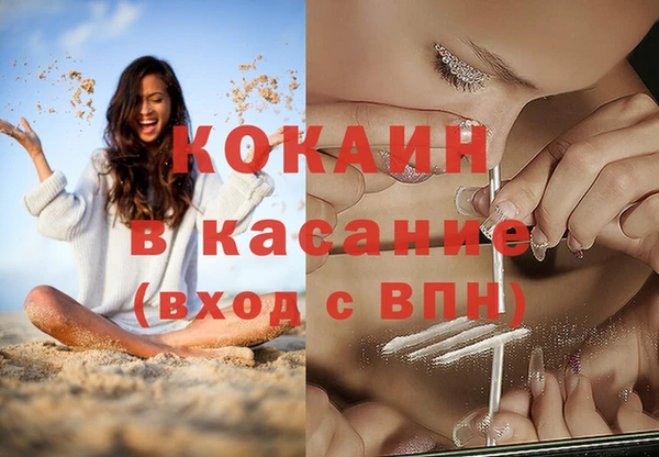 PSILOCYBIN Верхний Тагил