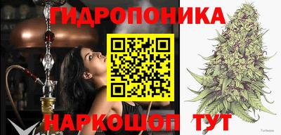 шишки Конаково